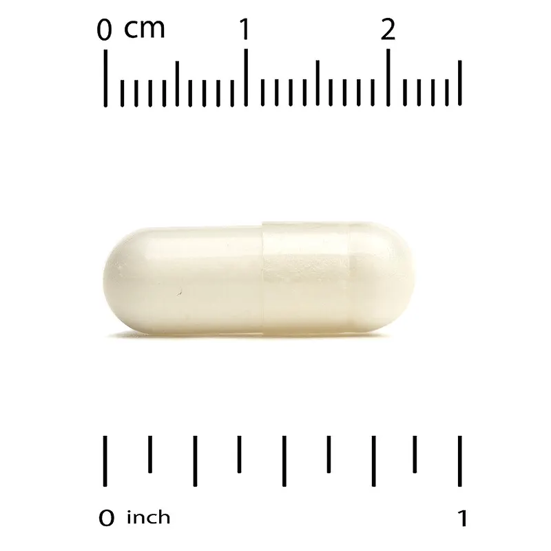 EuroHerbs, Chiết xuất thảo mộc Echinacea, 80 mg, 180 viên của California Gold Nutrition 3 EuroHerbs, Chiết xuất thảo mộc Echinacea, 80 mg, 180 viên của California Gold Nutrition - Ảnh 3