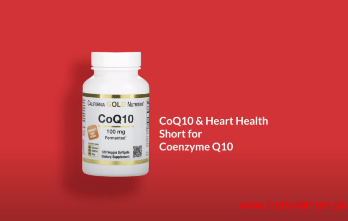 Coenzyme Q10 (CoQ10) 10 điều cần biết khi sử dụng! 4 Coenzyme Q10 CoQ10