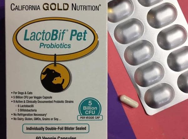 Review California Gold Nutrition LactoBif Pet Probiotics có tốt không? 8 california gold nutrition lactobif pet probiotics 5 billion cfu 60 veggie capsules 2